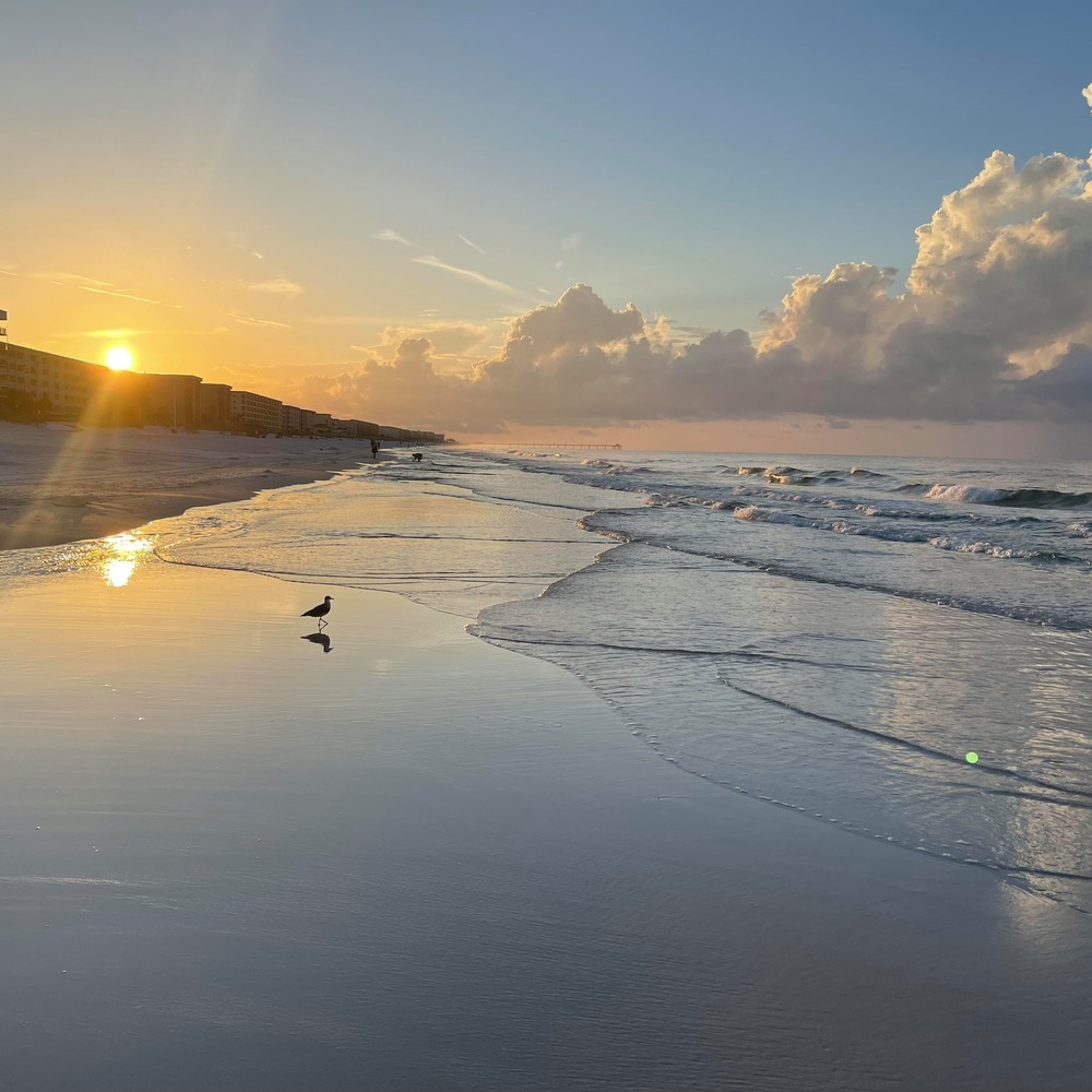 Meet your Posher, Paul